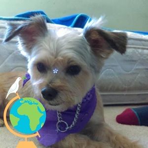 Meet your Posher, Khai